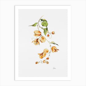 Orange Bougainvillea Art Print