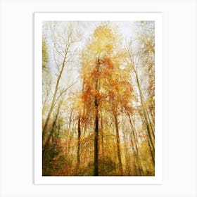 Tree Of Gold Art Print