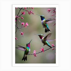 Hummingbirds Art Print