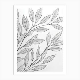 Drawing Of A Leaf Art Print