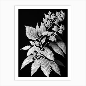 Spirea Leaf Linocut 1 Art Print