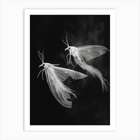 Moths In Flight 3 Art Print