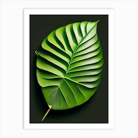 Kiwi Leaf Vibrant Inspired 1 Art Print