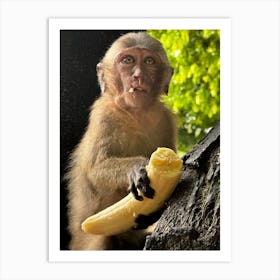 Monkey Eating Banana Art Print