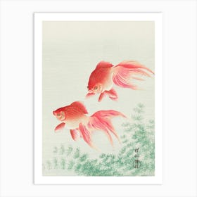 Goldfish Painting 1 Art Print