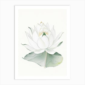 White Lotus Pencil Illustration 1 Art Print