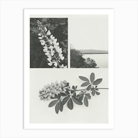 Wisteria Flower Photo Collage 4 Art Print