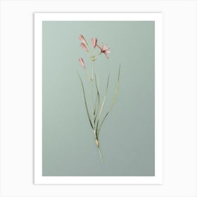 Vintage Amaryllis Montana Botanical Art on Mint Green n.0244 Art Print