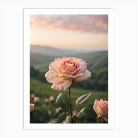 Sunset Roses Art Print