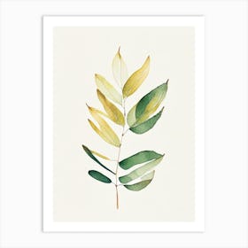 Curry Leaf Minimalist Watercolour 1 Art Print