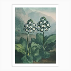 Two Flowers In A Garden Art Print