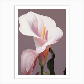 Floral Illustration Calla Lily 1 Art Print