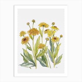 Paper Daisies Art Print