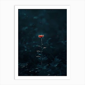 Flower In The Dark 103 Art Print