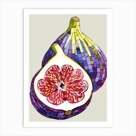 Mosaic Fig Art Print