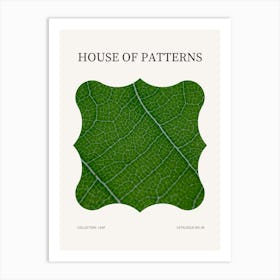 Leaf Pattern Poster 12 Art Print