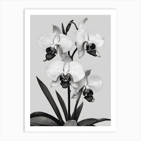 Catasetum Orchids Ink 2 Art Print