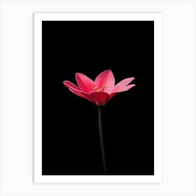 Lotus Flower 23 Art Print