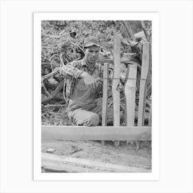 Untitled Photo, Possibly Related To Jack Whinery Fencing With Handsplit Rails On His Homestead At Pie Town, New Art Print