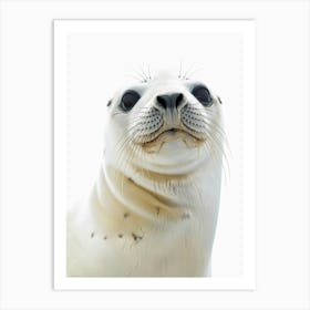 Seal portrait 1 Art Print