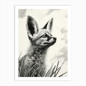 Bat Eared Fox Looking At The Sky Pencil Drawing 4 Art Print