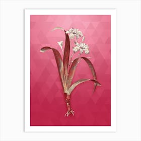 Vintage Iris Fimbriata Botanical in Gold on Viva Magenta Art Print