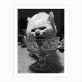 Holiday Season - Black And White Art Print - Cat Licking A Cocktail Glass Art Print Art Print
