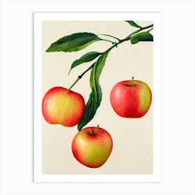 Apple 2 Watercolour Fruit Painting Fruit Art Print