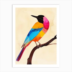 Colorful Bird 2 Art Print