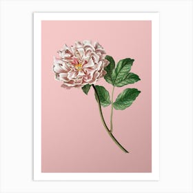 Vintage Tree Peony Botanical on Soft Pink n.0470 Art Print