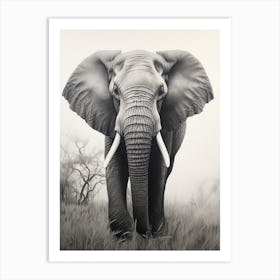 African Elephant Realism Portrait 5 Art Print