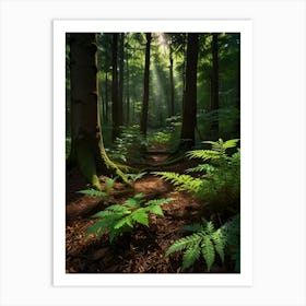 Ferns In The Forest 4 Art Print