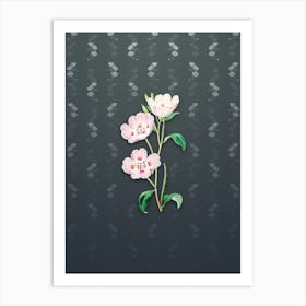 Vintage Pink Oenothera Flower Botanical on Slate Gray Pattern n.0936 Art Print