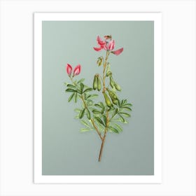 Vintage Restharrows Botanical Art on Mint Green n.0344 Art Print