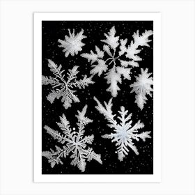 Fernlike Stellar Dendrites, Snowflakes, Black & White 1 Art Print