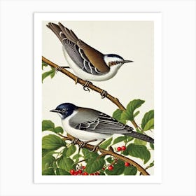 Mockingbird James Audubon Vintage Style Bird Art Print