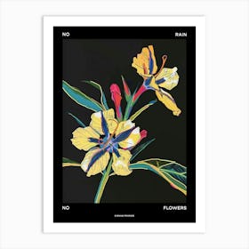 No Rain No Flowers Poster Evening Primrose 1 Art Print