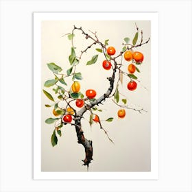 Pomegranate Tree 2 Art Print