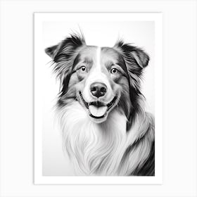 Border Collie Dog, Line Drawing 2 Art Print