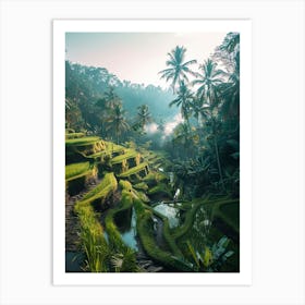 Rice Terraces In Bali 1 Art Print