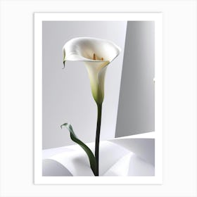 Calla Lily 8 Art Print