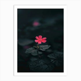 Geranium Flower 1 Art Print