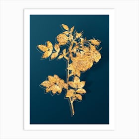 Vintage Turnip Roses Botanical in Gold on Teal Blue Art Print