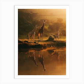 Giraffes At Sunset Art Print