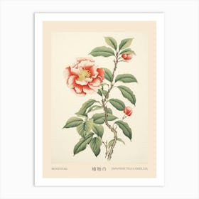 Benifuuki Japanese Tea Camellia 1 Vintage Japanese Botanical Poster Art Print