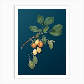 Vintage Cherry Botanical Art on Teal Blue n.0965 Art Print