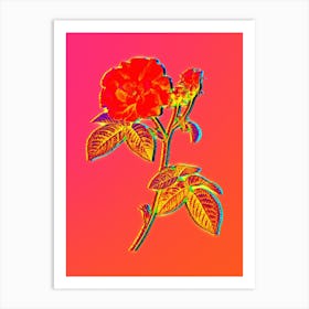 Neon Apothecary Rose Botanical in Hot Pink and Electric Blue Art Print