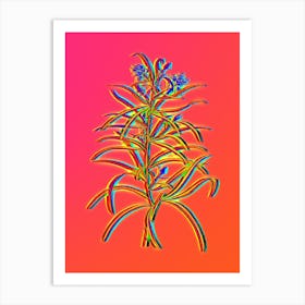 Neon Narrow Leaved Spider Flower Botanical in Hot Pink and Electric Blue n.0412 Art Print