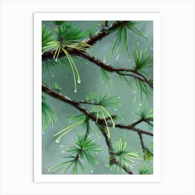 Pine Branch With Raindrops Art Print