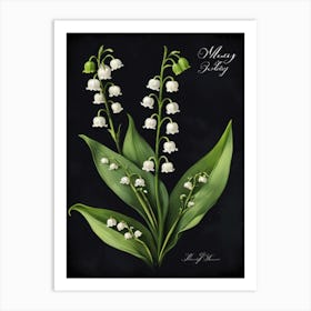 Lily Of The Valley 7 Art Print